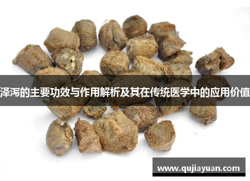 泽泻的主要功效与作用解析及其在传统医学中的应用价值