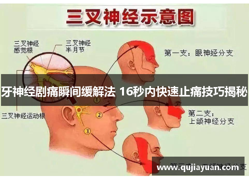 牙神经剧痛瞬间缓解法 16秒内快速止痛技巧揭秘